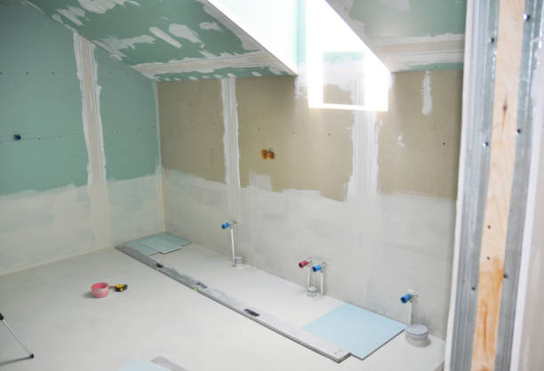 Best Environmental Consulting for Mold Prevention  in USA